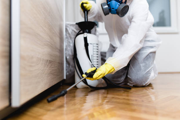 Best Best Pest Control Companies  in Forestde, AL