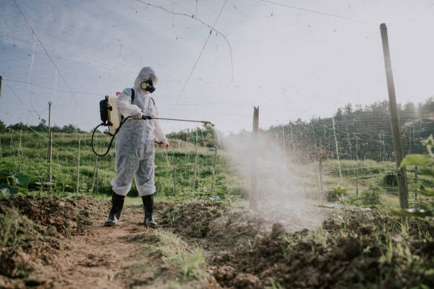 Best Best Pest Control Companies  in Forestde, AL