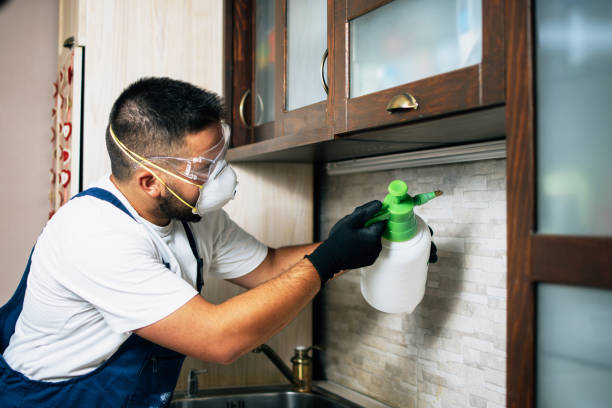 Pest Control for Restaurants in Forestdale, AL