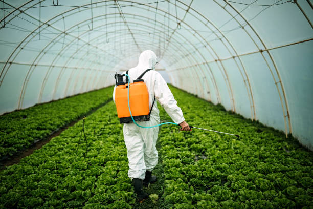 Best Best Pest Control Near Me  in Forestde, AL