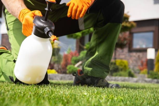 Insect Control in Forestdale, AL