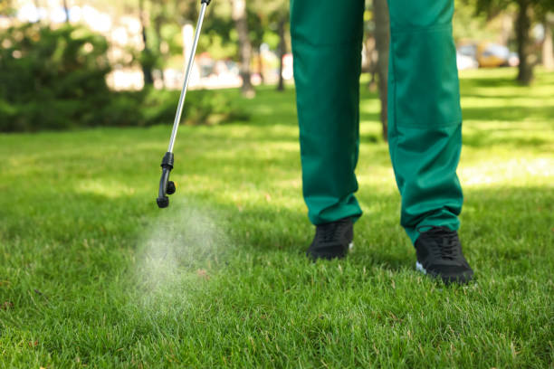 Best Wasp Removal Services  in Forestde, AL