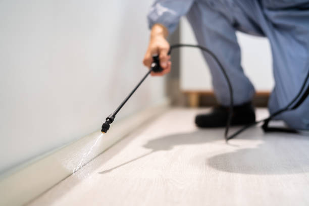 Best Pest Inspection Near Me  in Forestde, AL
