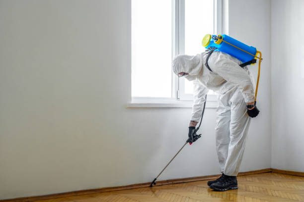 Best Affordable Pest Control Services  in Forestde, AL