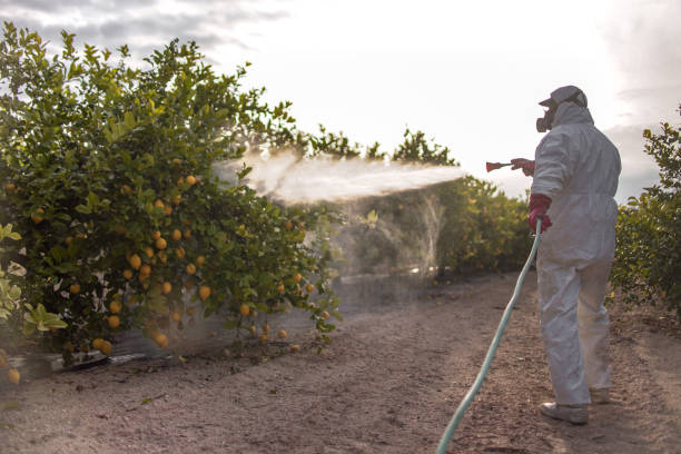 Best Affordable Pest Control Services  in Forestde, AL