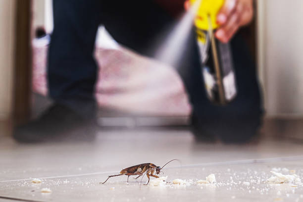 Trusted Forestdale, AL Pest Control Experts