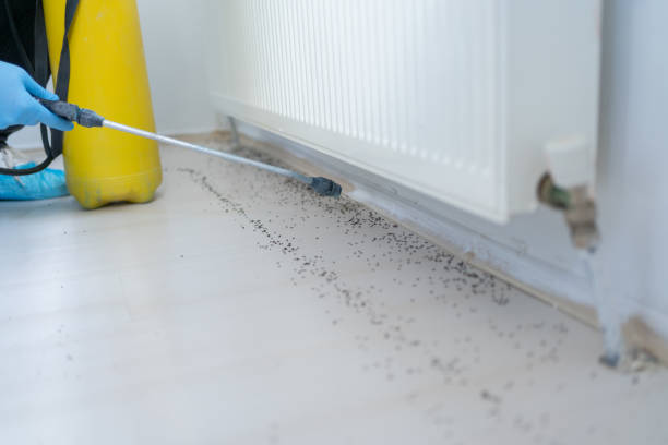 Best Residential Pest Control  in Forestde, AL