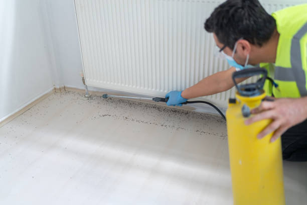 Best Cockroach Control Services  in Forestde, AL