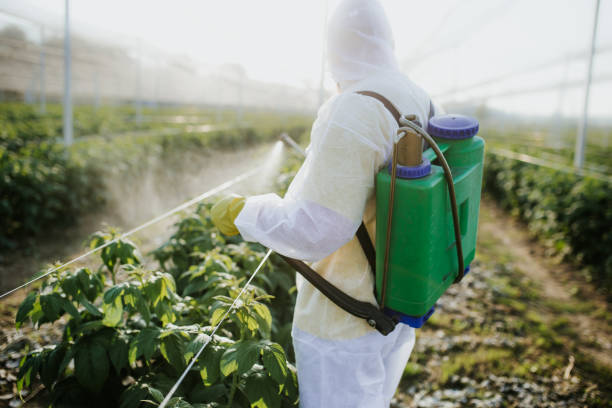 Best Wildlife Control Services  in Forestde, AL